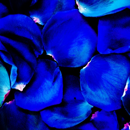 design your own scarf, create fabric, fabric design workshop and classes, blue scarf