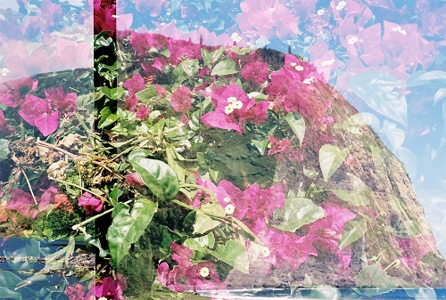 fabric design development JeliRAD