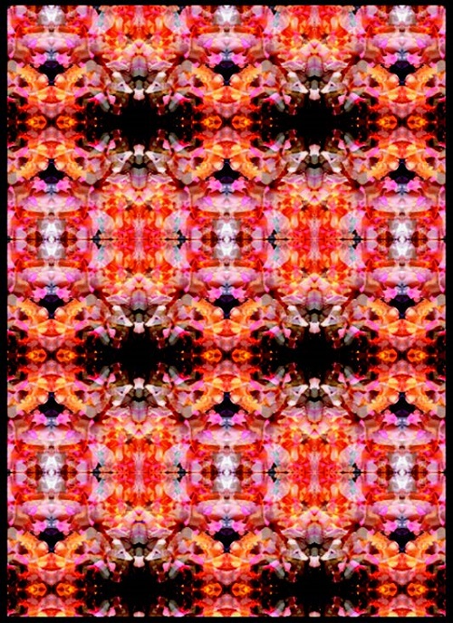 final tutorial screenshot