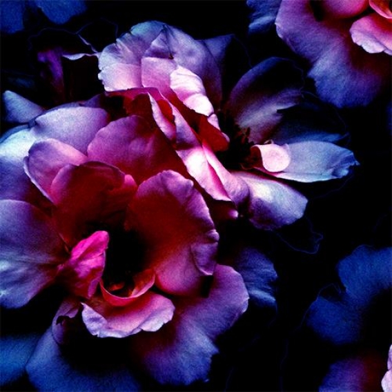 floral print fabric trend