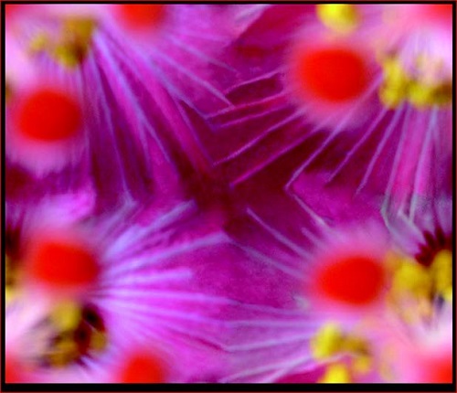 fifth full drop screenshot