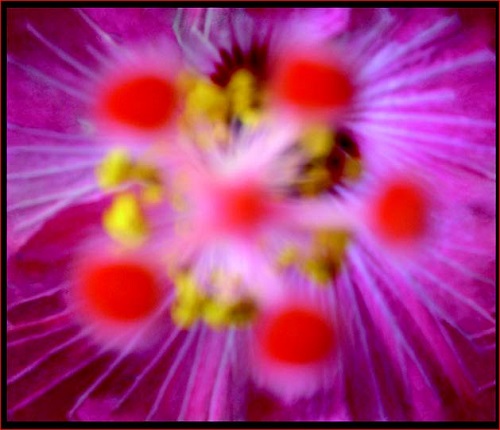 sixth full drop screenshot