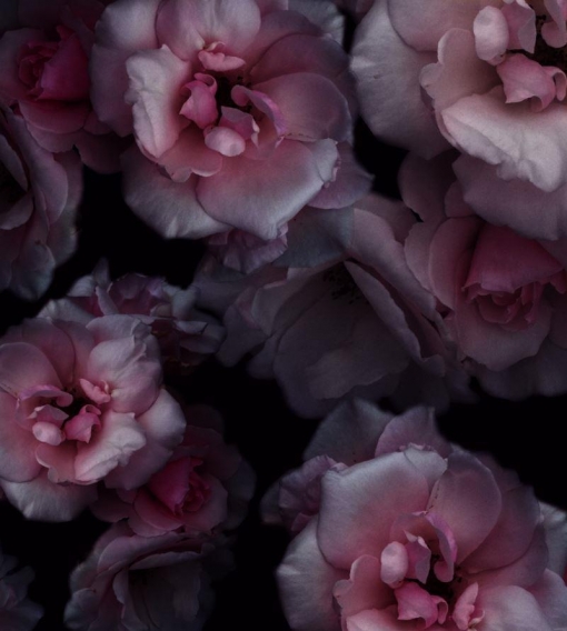 floral print fabric trend