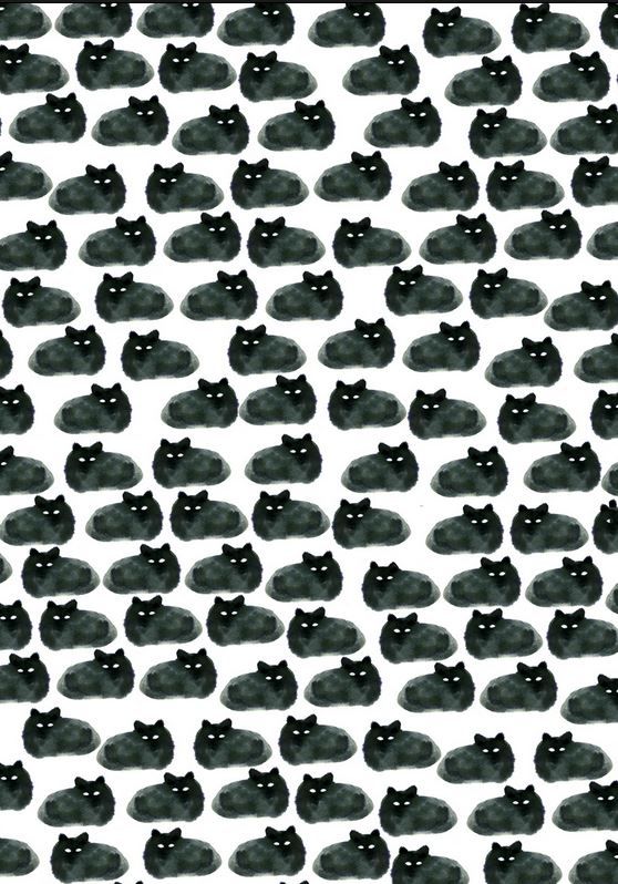 5 prints for people who love cats