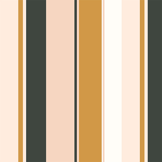 355-main-image.jpg